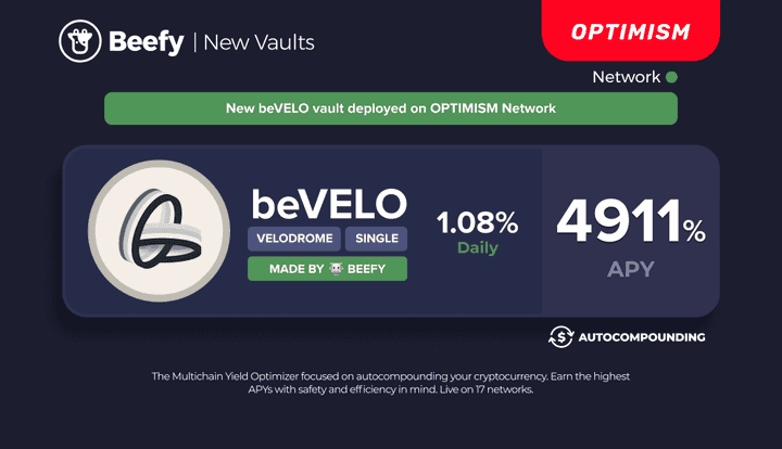 bevelo vault 1